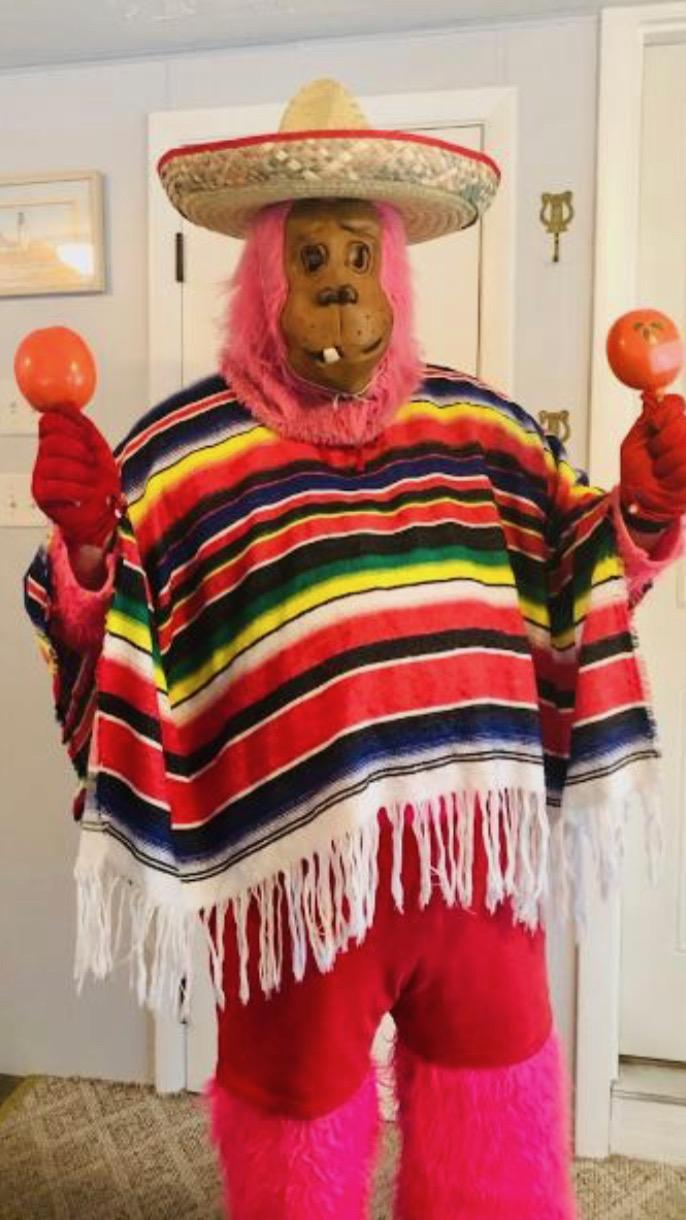 Scott pink gorilla mariachi